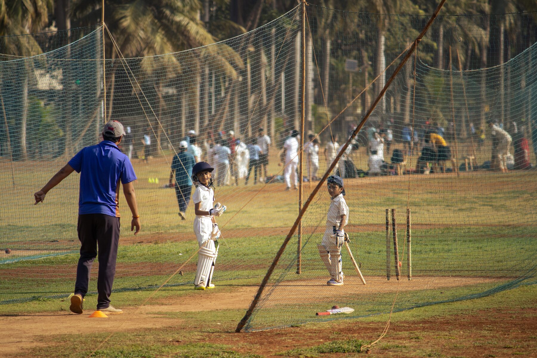 Cricket coaching session